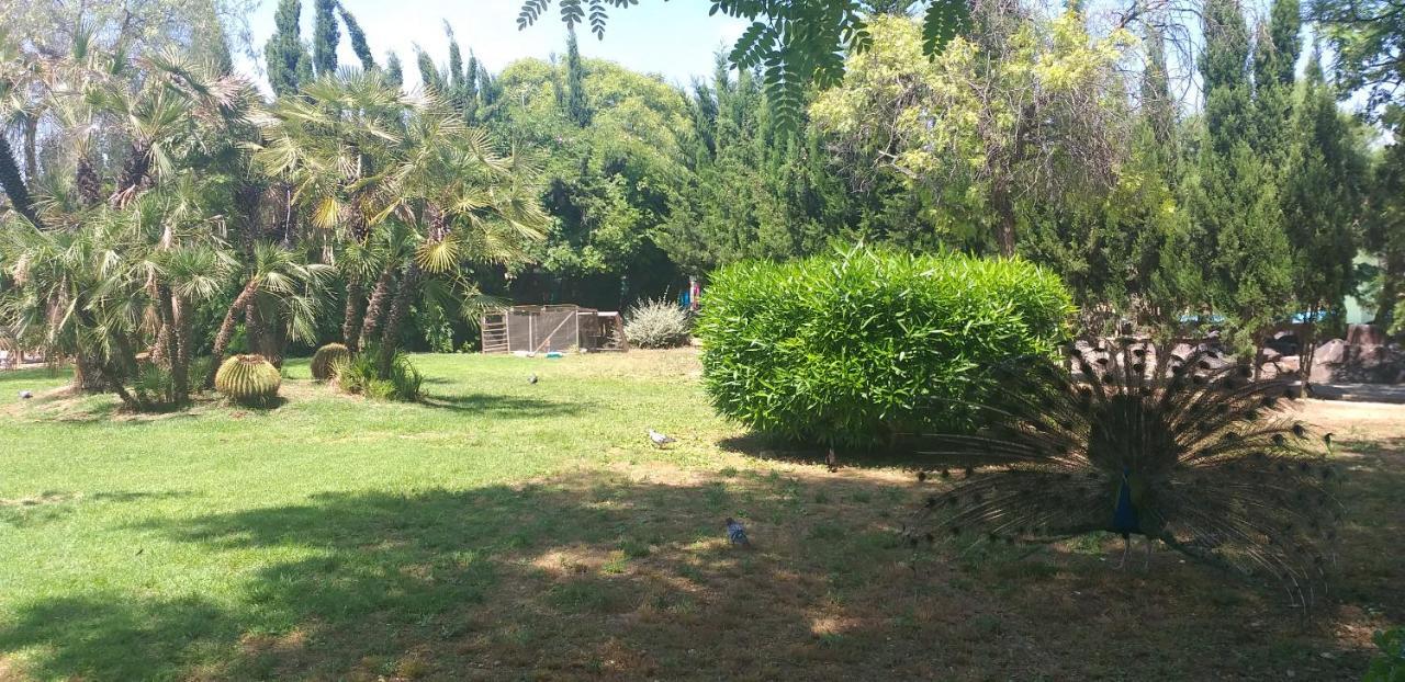 Apartamento Belsol Torrevieja Esterno foto